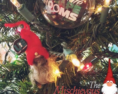 the-mischievous-nisse (1)